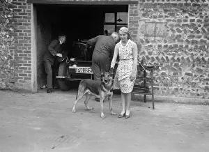 Alsatian Prints: K Baker. Artist: Bill Brunell