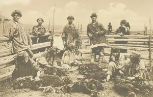 Kachin people. Shearing, 1904-1917. Creator: Unknown