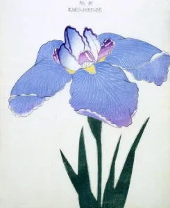 Kaku-Jaku-Ro, No 39