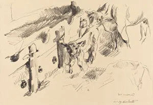 Corinth Lovis Prints: Kalber (Calves), 1912. Creator: Lovis Corinth