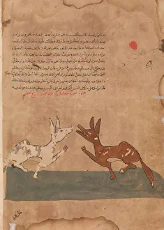 Arabia Prints: Kalila and Dimna Discussing Dimnas Plans to Become a Confidante of the Lion