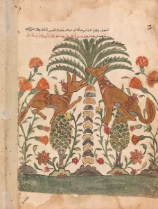 Palm Trees Prints: Kalila Upbraiding Dimna, Folio from a Kalila wa Dimna, 18th century. Creator: Unknown