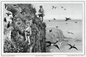 Seabird Prints: Kamchatka, Hunting Puffins, 19th century