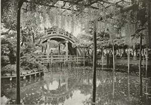 Scented Gallery: Kameido, 1910. Creator: Herbert Ponting