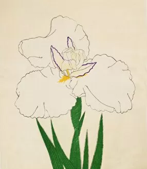 Kamimado-No-Tsuki, No. 65, 1890, (colour woodblock print)