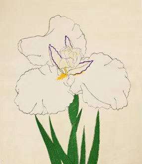 Clump Prints: Kamimado-No-Tsuki, No. 65, 1890, (colour woodblock print)