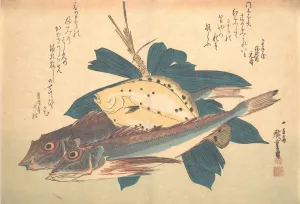 Flatfish Prints: Kanagashira and Karei Fish, from the series Uozukushi (Every Variety of Fish)