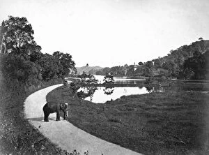 Maha Nuvara Gallery: Kandy Lake, Kandy, Sri Lanka, c1910s