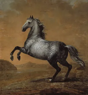 Karl XI's favourite horse The Little Englishman, between c.1680 and c.1689. Creator: David Klocker Ehrenstrahl