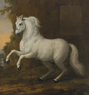 David Klöcker Ehrenstrahl Prints: Karl XI's favourite horse In short, 1684. Creator: David Klocker Ehrenstrahl