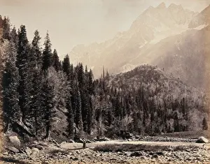 Bourne Prints: Kashmir: a mountain valley and forest, between 1800 and 1899. Creator: Samuel Bourne