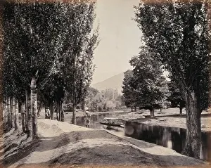 South Asian Prints: Kashmir: a tree-lined path by a canal, c1870s. Creator: Samuel Bourne
