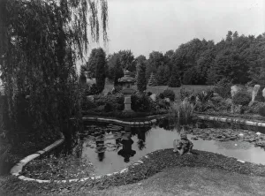 Lily Pond Prints: Katonah, Westchester County, New York, 1921. Creator: Frances Benjamin Johnston