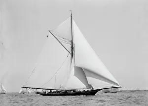 Katrina, 1894 Aug 11. Creator: Johns Johnston