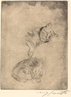 Katzenstudie (Study of Cats), 1920. Creator: Lovis Corinth