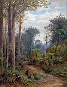 Path Prints: Among the kauris, Waitakeres, 1884. Creator: Charles Blomfield