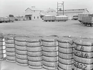Cotton Gin Prints: Kaweah Delta Cooperative cotton gin and yard