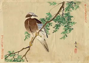 Branch Prints: Keibun Kacho (flower and bird) vol 2 no.9, pub 1892. Creator: Matsumura Keibun
