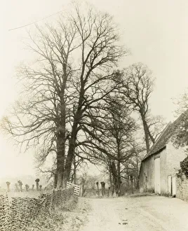 Kelmscott Manor: Road and Entrance, 1896. Creator: Frederick Henry Evans Kelmscott Manor: Road and Entrance, 1896. Creator: Frederick Henry Evans