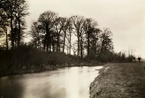 Kelmscott Manot: The Thames Near the Manor, 1896. Creator: Frederick Henry Evans Kelmscott Manot: The Thames Near the Manor, 1896. Creator: Frederick Henry Evans