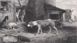 Images Dated 2021 January: 19 Jan 2021 Collection