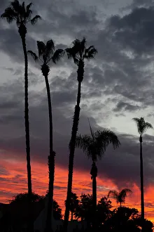 San Diego San Diego California Usa Prints: Kensington, San Diego, California, USA, 2022. Creator: Ethel Davies