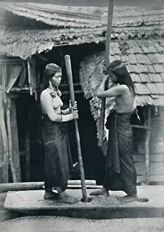 Malaysian Gallery: Kenyah women pounding rice, Sarawak, 1902. Artist: Dr Charles Hose
