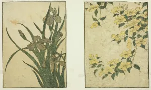 Picture Book Prints: Kerria and Iris, from the illustrated book Picture Book: Flowers of the Four Seasons