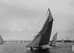 Kestrel, 1899 July 4. Creator: Johns Johnston