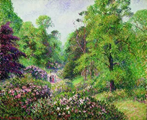 1892 Gallery: Kew Gardens, Rhododendron Dell, 1892