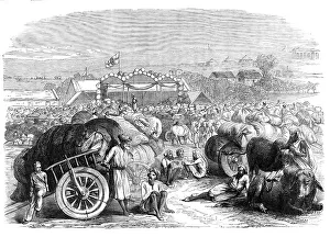 Carts Prints: Khangaon Cotton Market, West Berar, India, 1870. Creator: Unknown