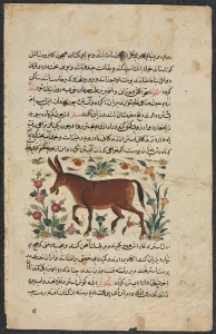 Khar (Ass), from a Nuzhat-nama-yi alai (Excellent Book of Counsel)... 1400s. Creator: Unknown