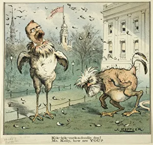 Kik-kik-cock-a-doodle doo! Mr. Kelly, how are YOU?, from Puck, published November 12