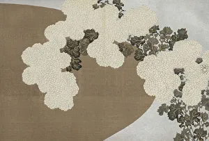 Kiku (Chrysanthemum). From the series A World of Things (Momoyogusa), 1909-1910. Creator: Sekka, Kamisaka (1866-1942). Kiku (Chrysanthemum). From the series A World of Things (Momoyogusa), 1909-1910