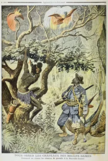 Killing Birds of Paradise, New Guinea, 1908