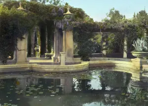 Water Lily Prints: Kimberly Crest, John Alfred Kimberly house