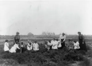 Field Trip Prints: Kindergarten field work, 1899 or 1900. Creator: Frances Benjamin Johnston