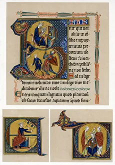 Images Dated 15th September 2007: King David, mid-13th century