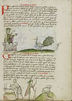 A King Enthroned Speaking to a Peacock: A Shepherd Killing a Ram... third quarter of 15th century. Creator: Unknown