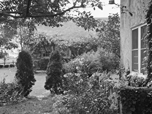 Shrub Prints: King, Hamilton, Mr. residence and garden, between 1911 and 1934. Creator: Arnold Genthe