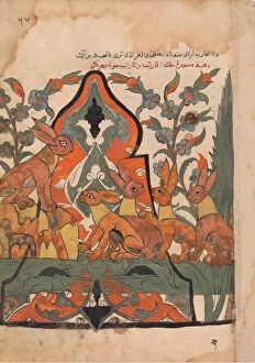 Anthropomorphic Collection: The King of the Hares in Counsel with his Subjects, Folio from a Kalila wa Dimna