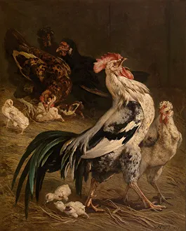 Rooster Prints: The King of the Poultry Yard, 1857. Creator: Charles Verlat