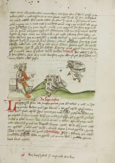 Doves Prints: A King Speaking to a Flock of Doves; Fables