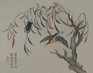 Kingfisher, Cicada, and Willow Tree, 19th century. Creator: Unknown