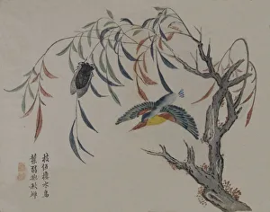 Kingfisher, Cicada, and Willow Tree, 19th century. Creator: Unknown