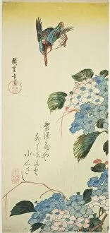 Kingfisher and hydrangea, 1830s. Creator: Ando Hiroshige