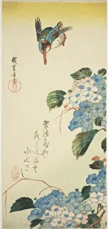 Otanzaku Prints: Kingfisher and hydrangea, 1830s. Creator: Ando Hiroshige