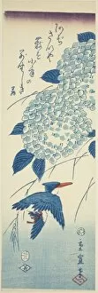 Chutanzaku Gallery: Kingfisher and hydrangea, 1857. Creator: Utagawa Hiroshige II