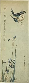 Kingfisher and iris, 1830s. Creator: Ando Hiroshige