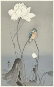 Landscapeanimals And Birds Prints: Kingfisher with Lotus Flower. Creator: Ohara, Koson (1877-1945)